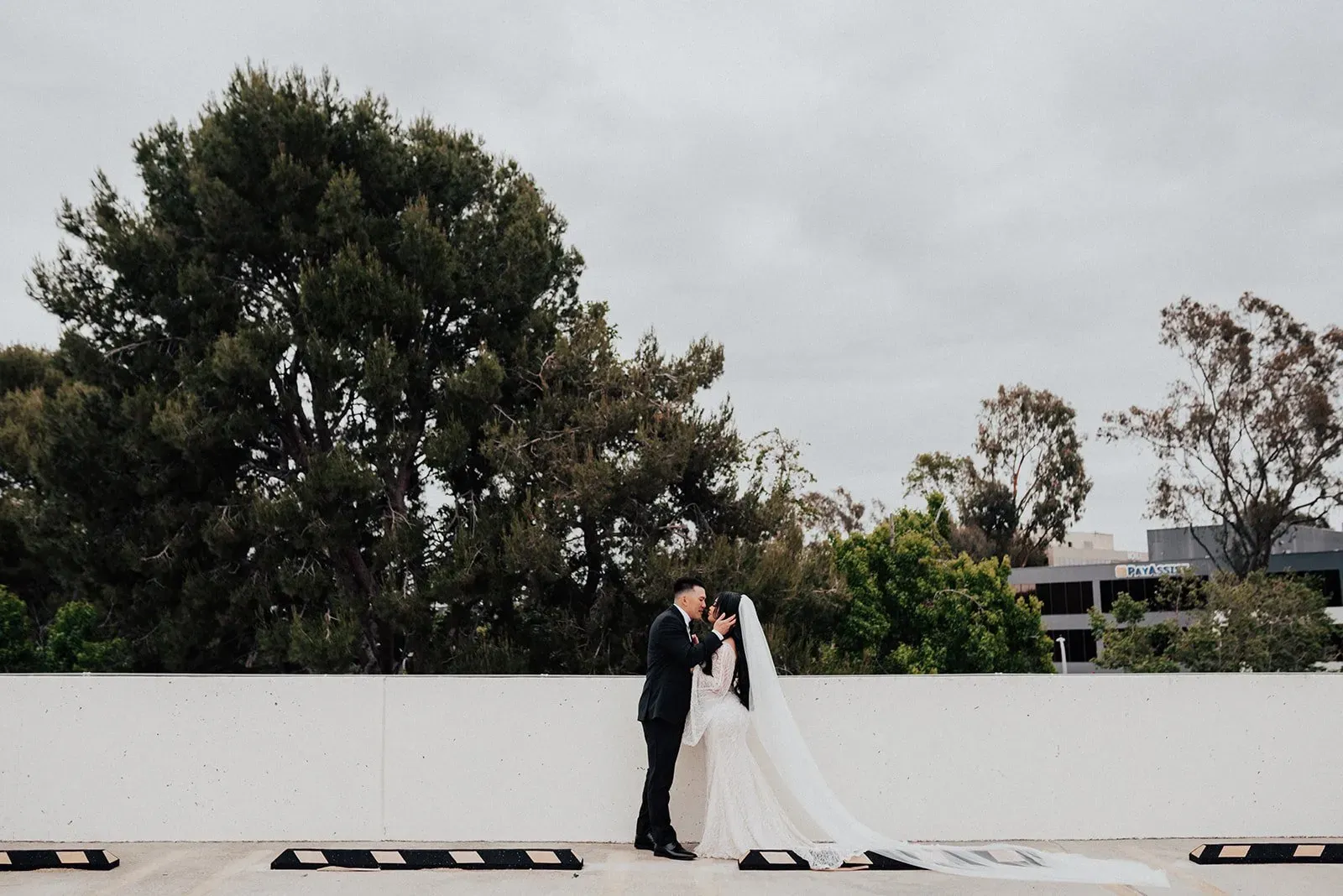 A wedding guided by Veni Vidi Amavi